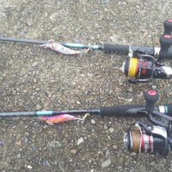 初のオオモンハタ