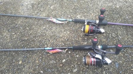 初のオオモンハタ