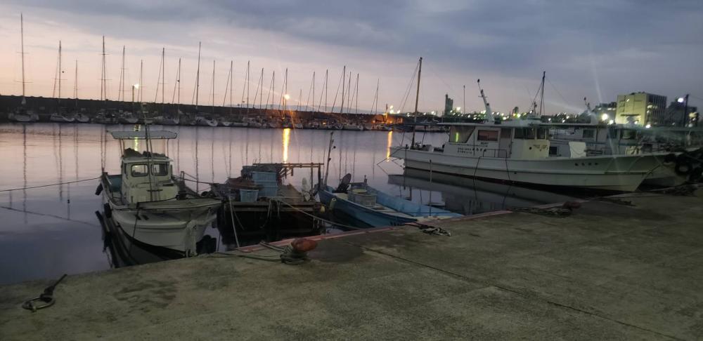 アジ探し@佐野漁港