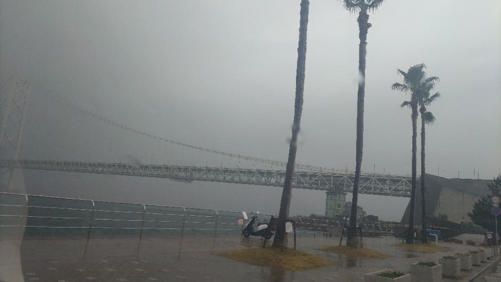 アジュール舞子 小アジいます!