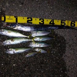 プチファミリーフィッシング　GAME