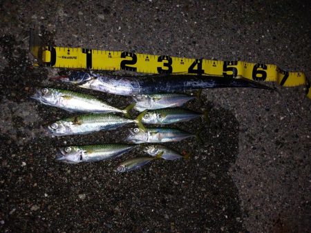 プチファミリーフィッシング　GAME