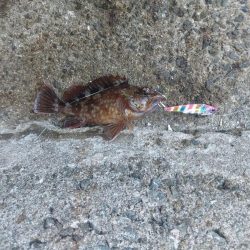 プチsalt water game