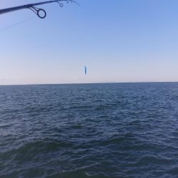 プチsalt water game