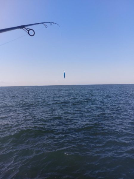 プチsalt water game