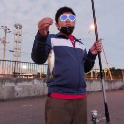 プチファミリーフィッシング　GAME