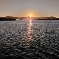 11/3　初のソロ釣り！中アジ大量！ちょっと大きいグレ！