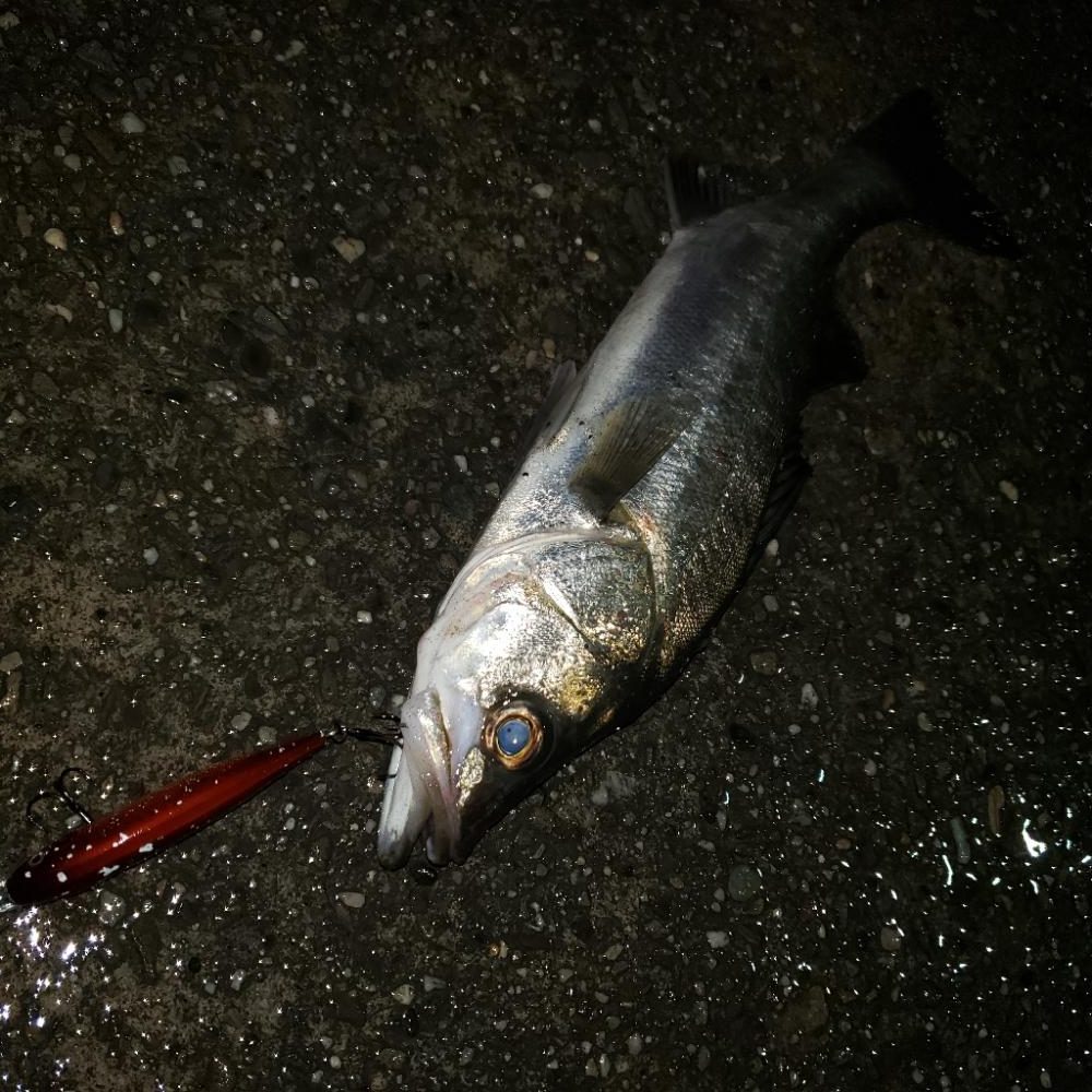 雨のナイトゲーム