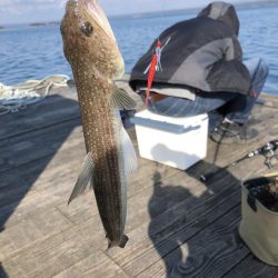 初の厳しい筏釣り