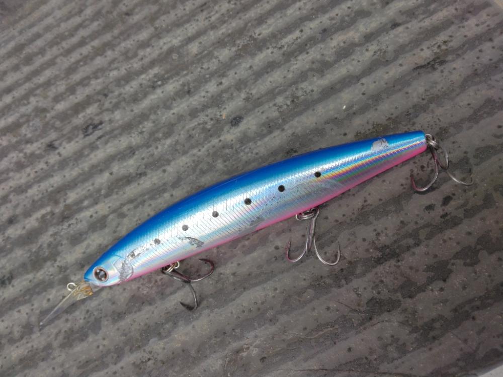 久しぶりにメジりました。