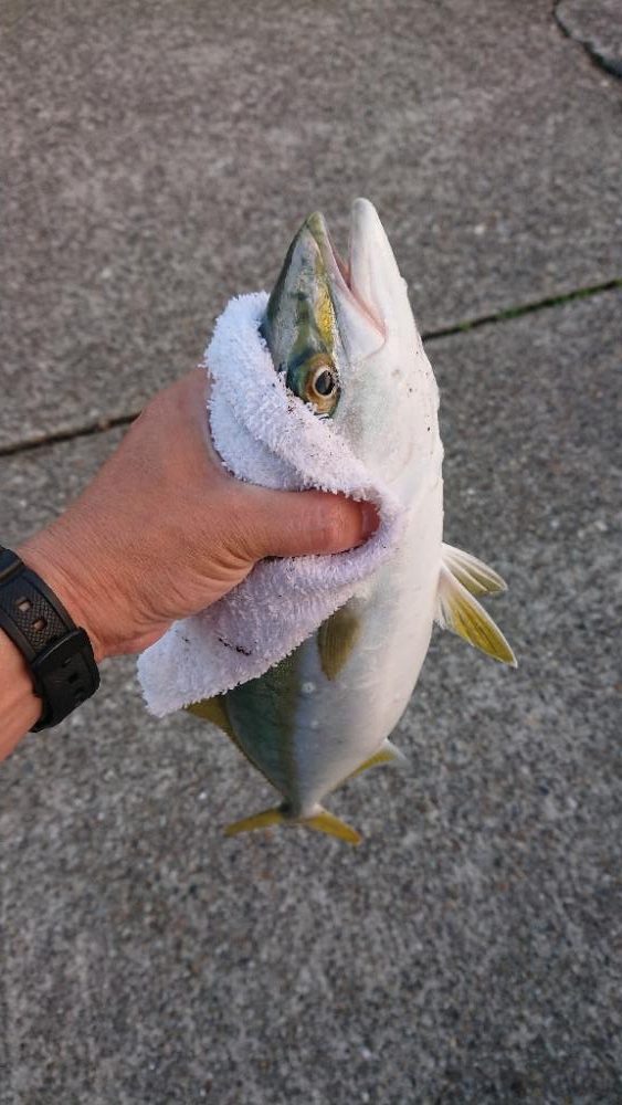 2022播磨遠征第4回