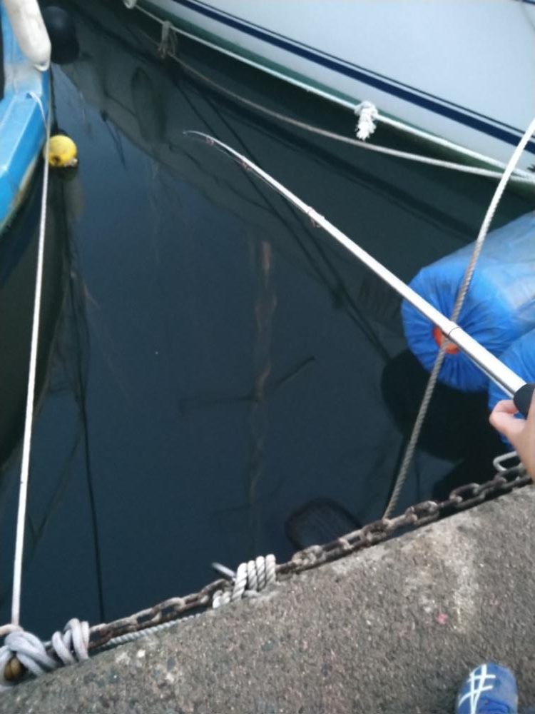 船の間のサビキはスリリング