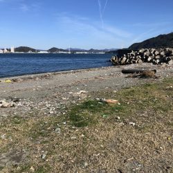 久しぶりのエサ釣り