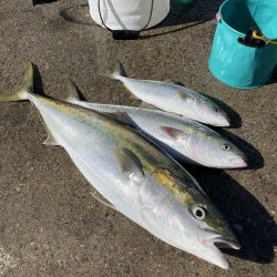 ★★怪物現れる★★