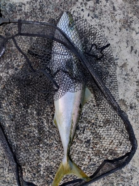 久しぶりのホーム戦