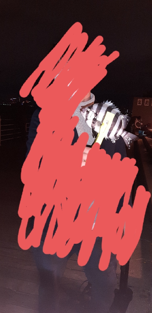 イシダイHIT‼️