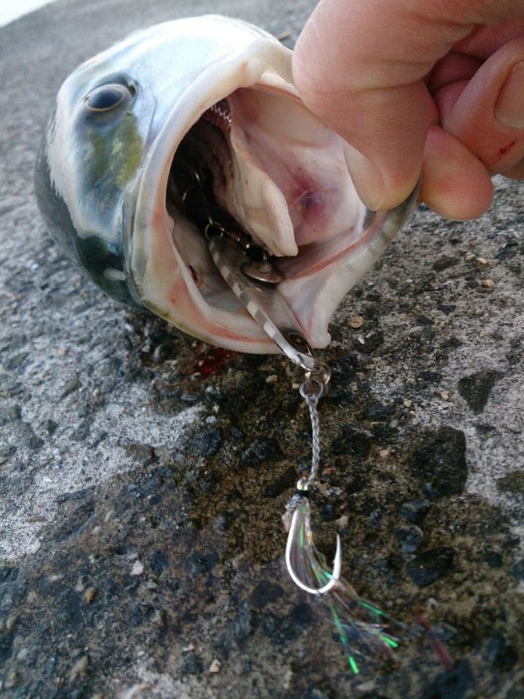 シーズン終盤戦