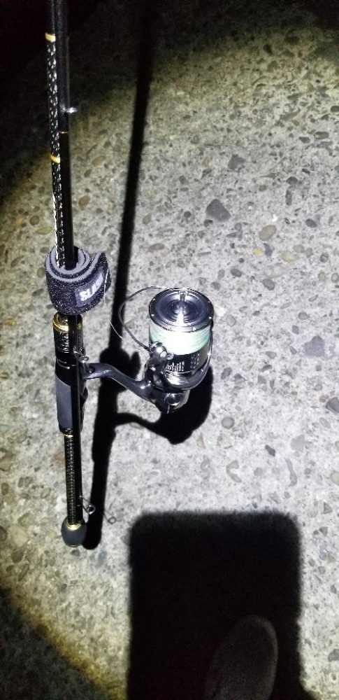 竿借りてグレ、イカは不発。