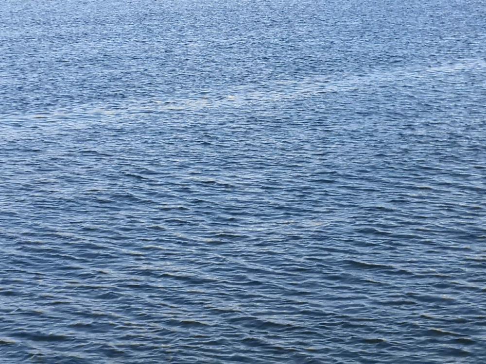 ショアジギングで鰤足らず