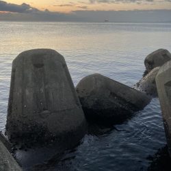 ギリギリ獲れた