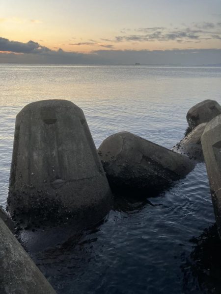 ギリギリ獲れた