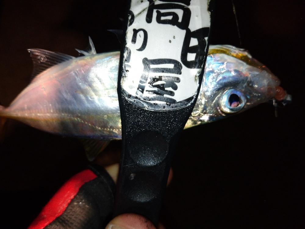 今夜も厳しかった