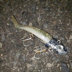 ありがとうソイ君！