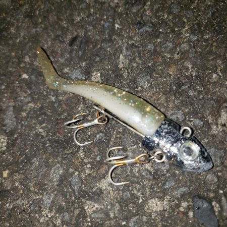 ありがとうソイ君！