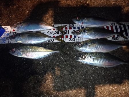 イージーシェイカー3.5