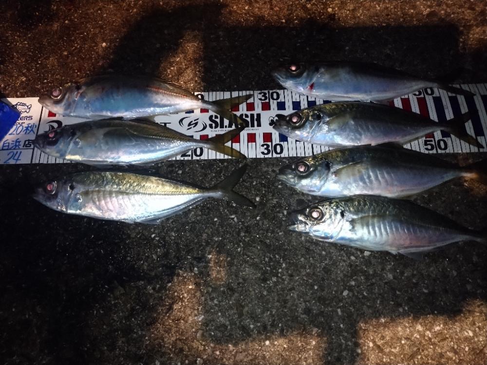 イージーシェイカー3.5