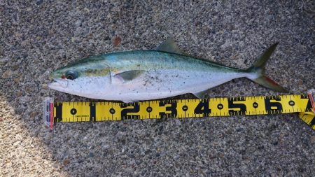 2022播磨遠征第3回