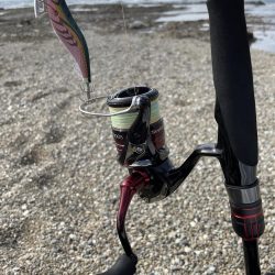 エギング初釣果❗️