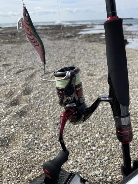 エギング初釣果❗️