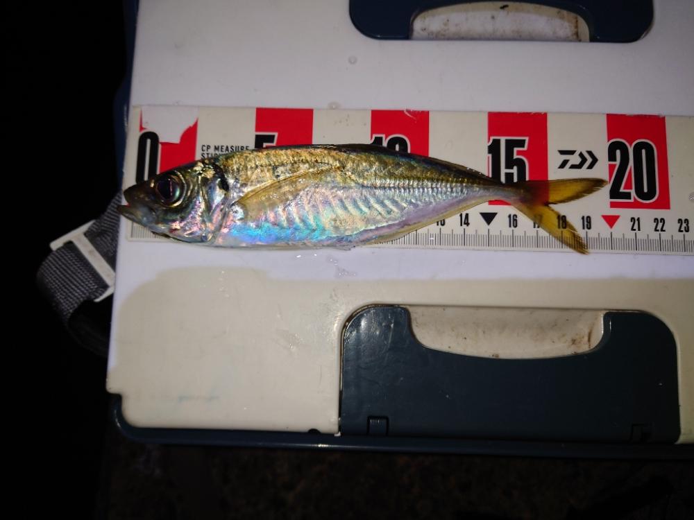 ションボリアジング