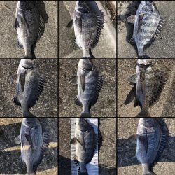 イチノ兄弟（兄）釣果！