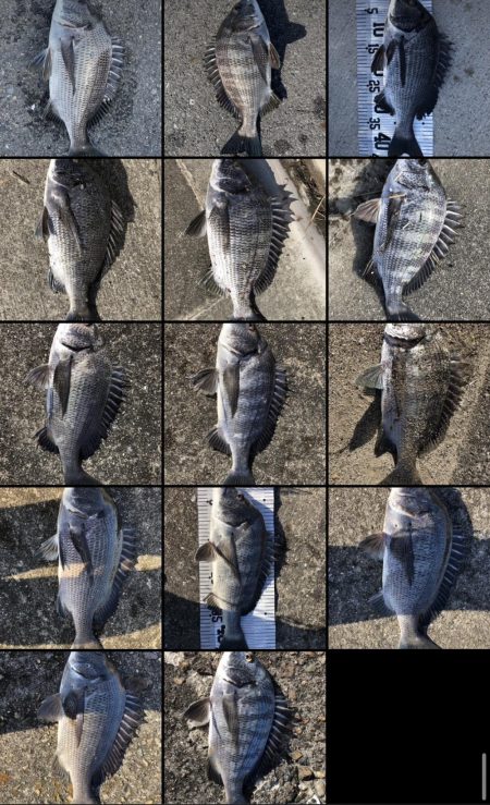 イチノ兄弟（兄）釣果！