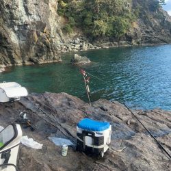 秋イカ最終にするか迷う