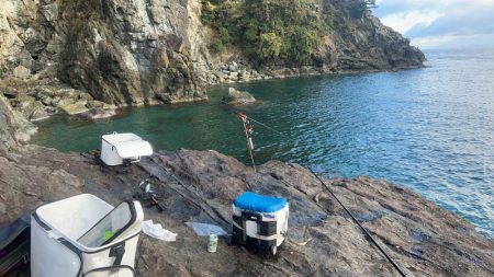 秋イカ最終にするか迷う