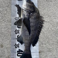 イチノ兄弟（兄）釣果！