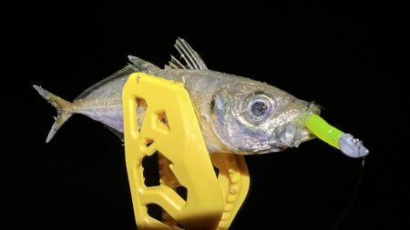 鯵を探して三千里Ver.4