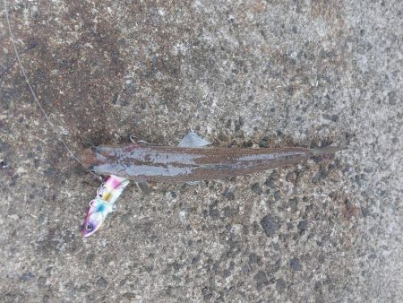 プチsalt water game