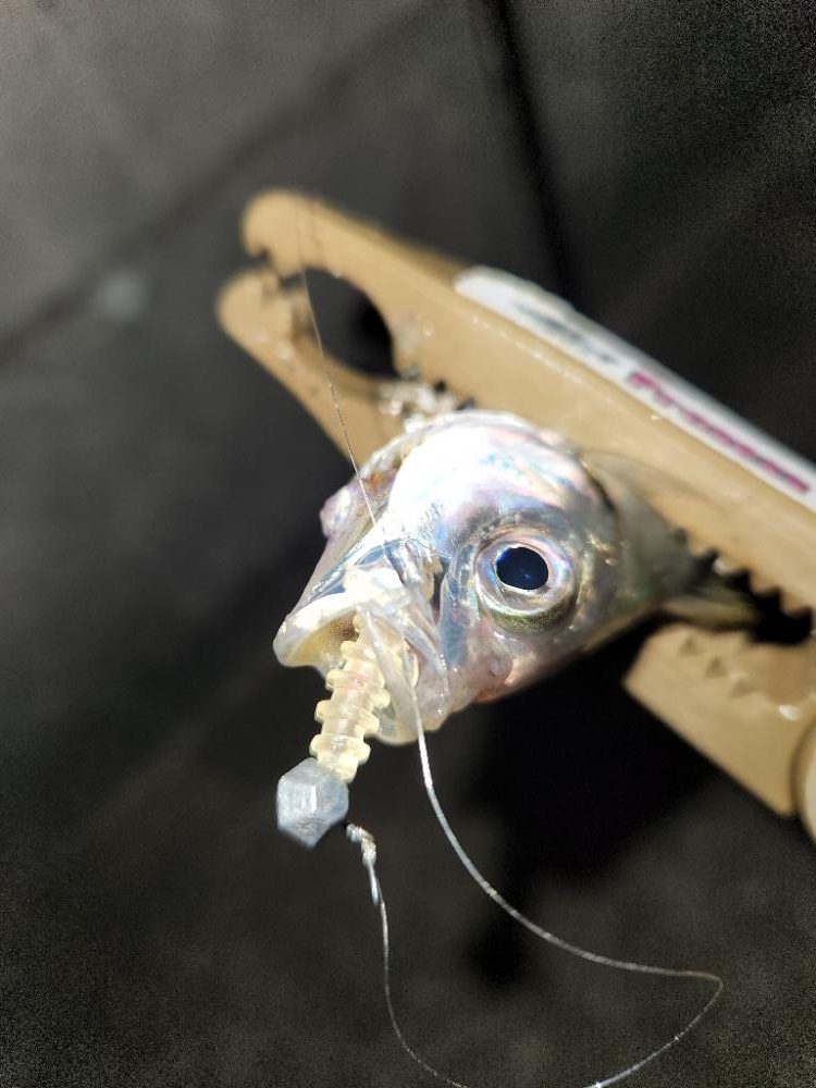 雨の前に・・・