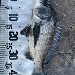 イチノ兄弟(兄)釣果!