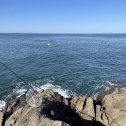 フカセ地磯釣行