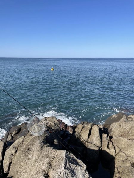 フカセ地磯釣行