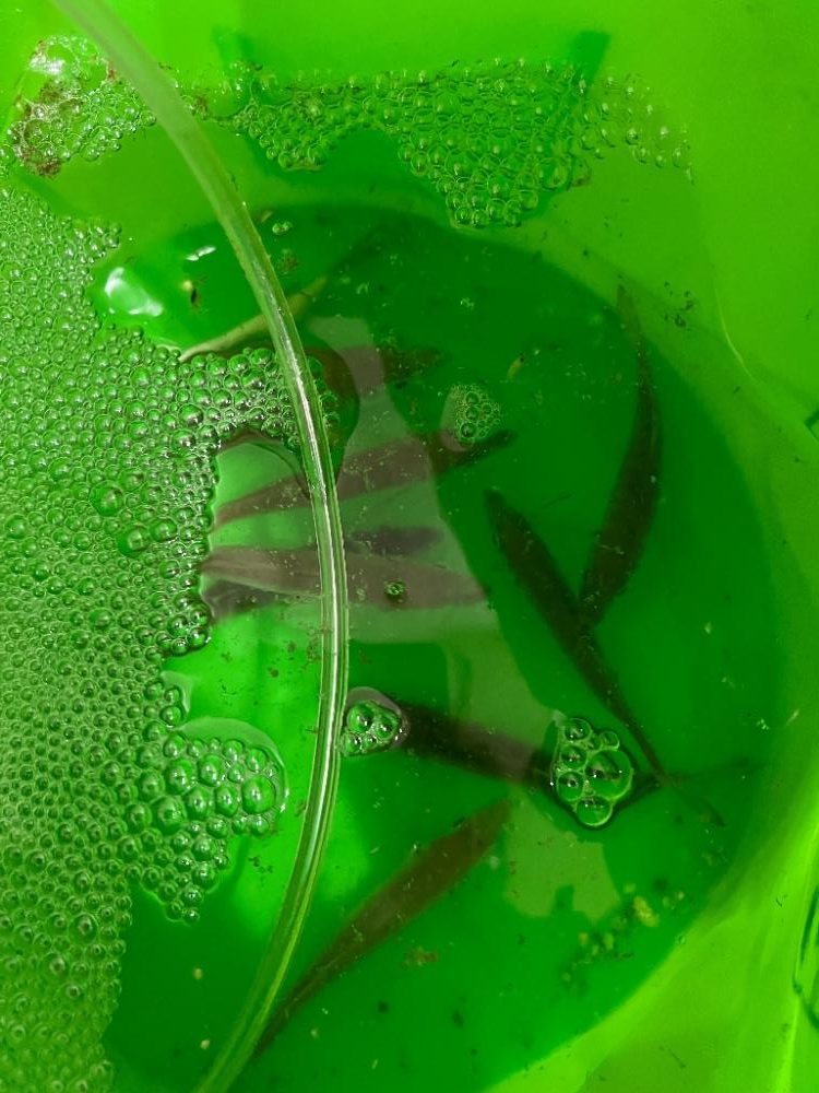 おめでとうございま~すっ!!