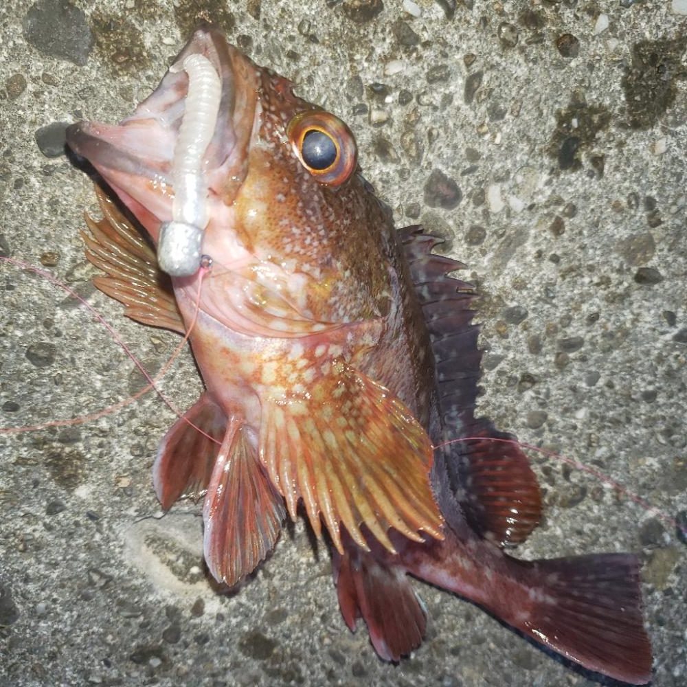 16時待ち合わせ！