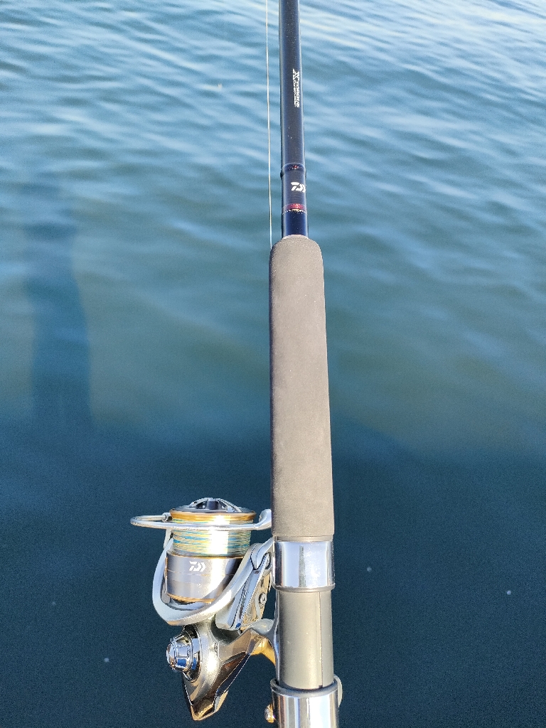 ノマセ釣りでハマチ