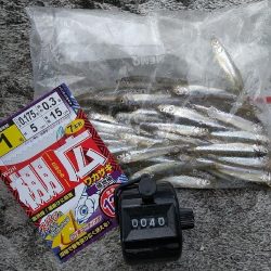 ワカサギ釣りへ☆