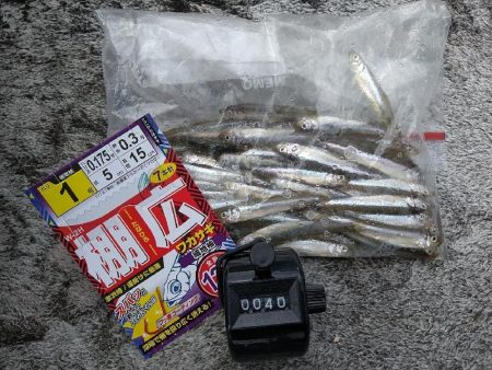 ワカサギ釣りへ☆